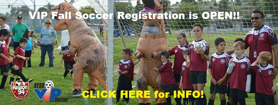 VIP Fall Soccer Registration is OPEN!!!